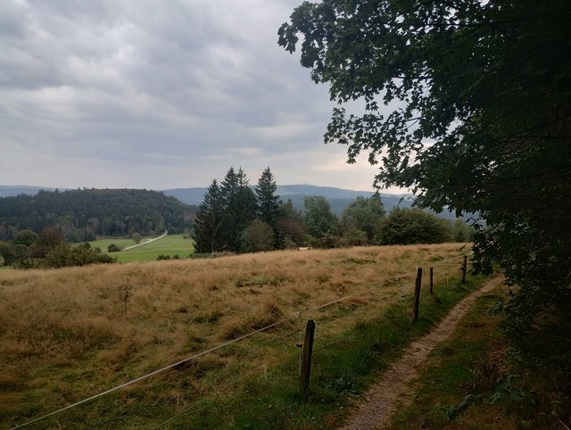 IMG_20240906_165447719_HDR.jpg