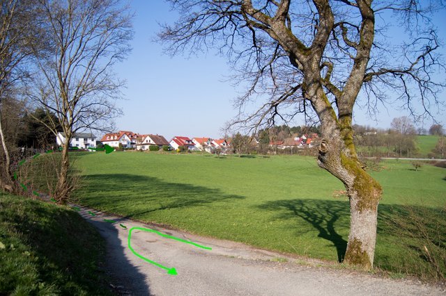 25181650po.jpg