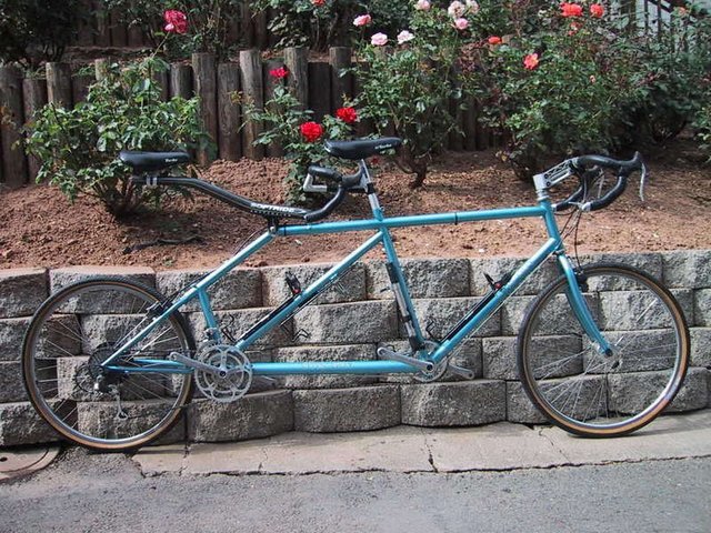 otis_guy_tandem.jpg