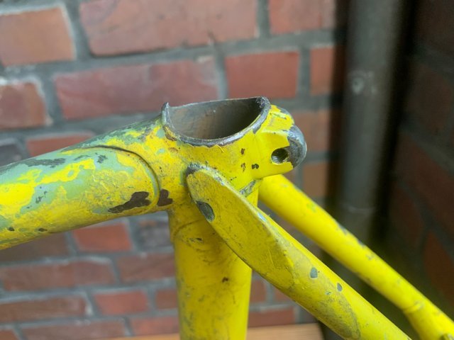 IMG_0300.jpeg