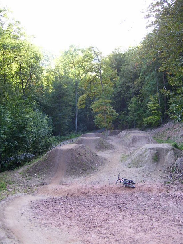 100_0959.jpg