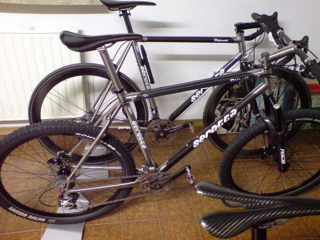 DSC05911.JPG
