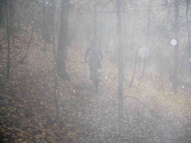 P1020342_2.JPG