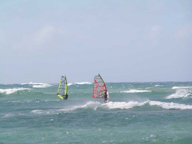 PICT25261.JPG