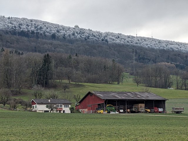 20250116_02.jpg