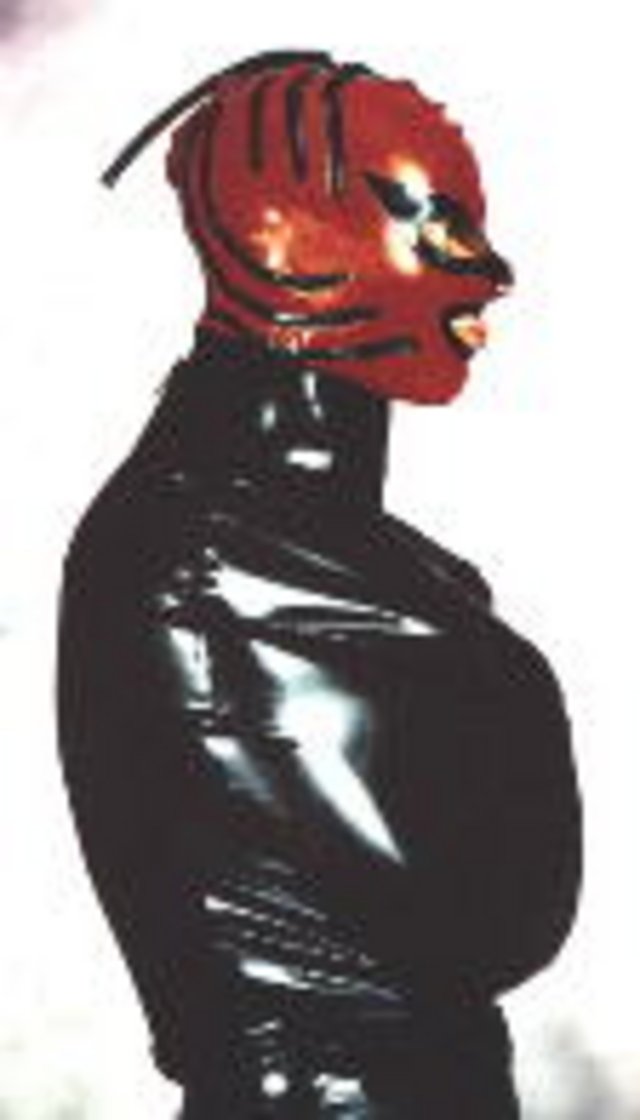 3149608.jpg