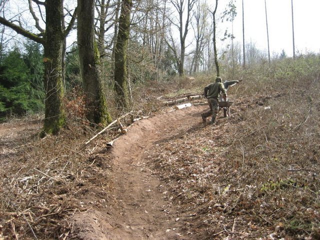 10022225fv.jpg