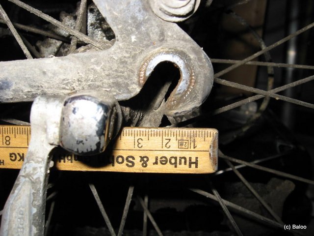 3888465.jpg