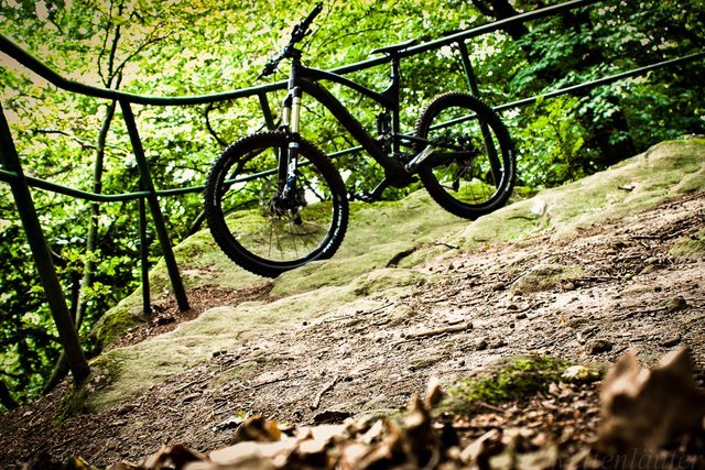 Enduro_27_8_13-5.jpg