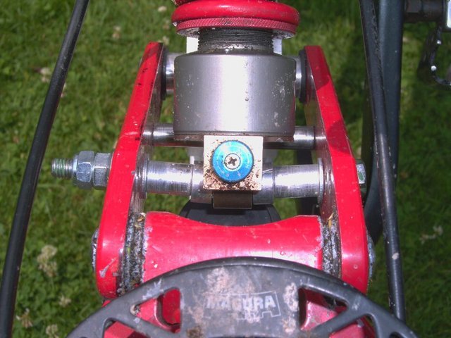 PICT1181_1.jpg