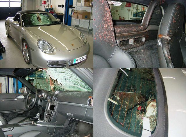 Porsche.jpg