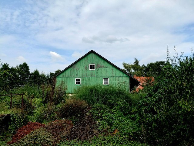 IMG_20240906_153615467_HDR_Ausschnitt.jpg