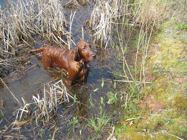 Bild_00813.jpg
