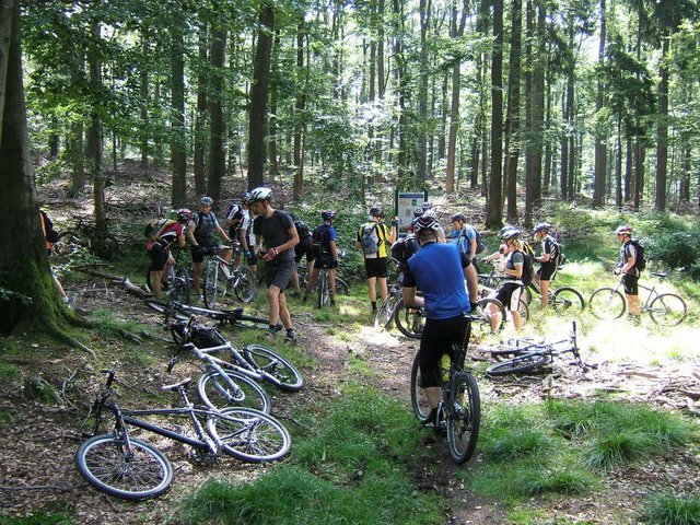 Spessart1.JPG