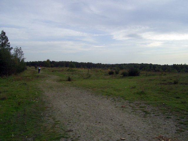 SA400376.jpg