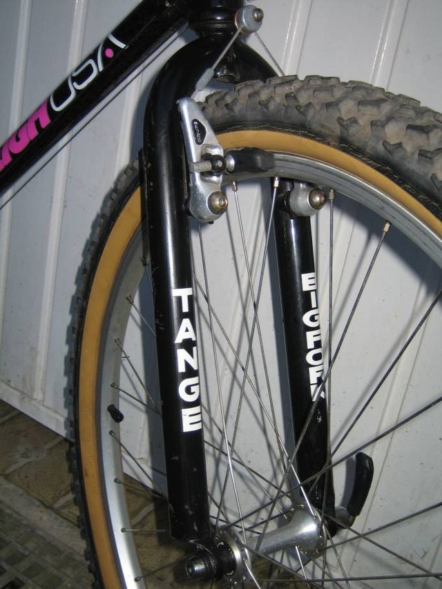 Raleigh_BigFork.jpg