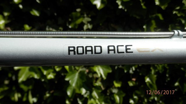 Raleigh-Road-Ace-12-road-bicycle03.jpg