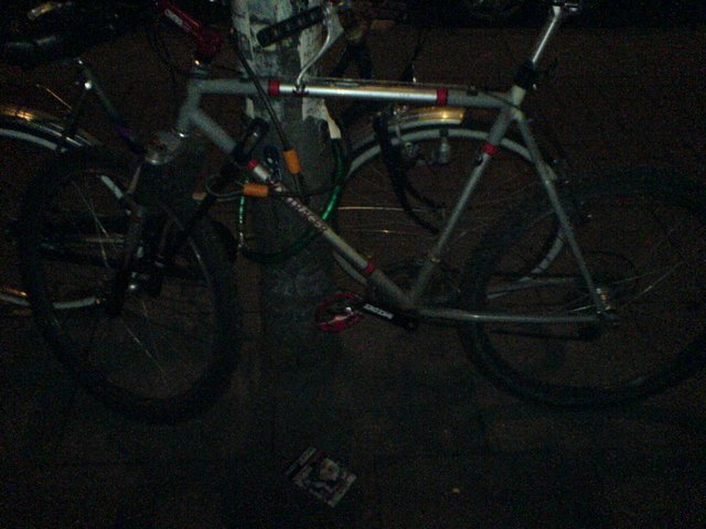 298924759_fdd9fe9515_b.jpg