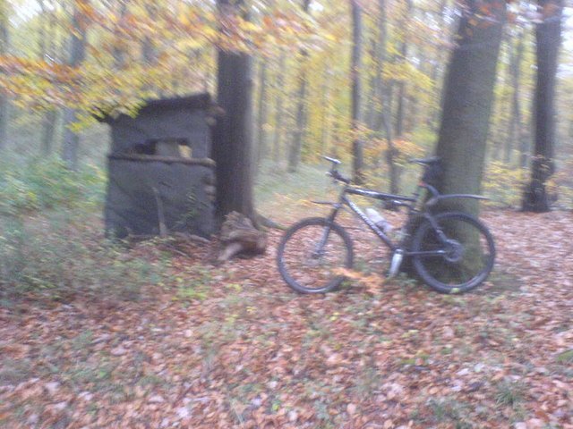 DSC000544.JPG