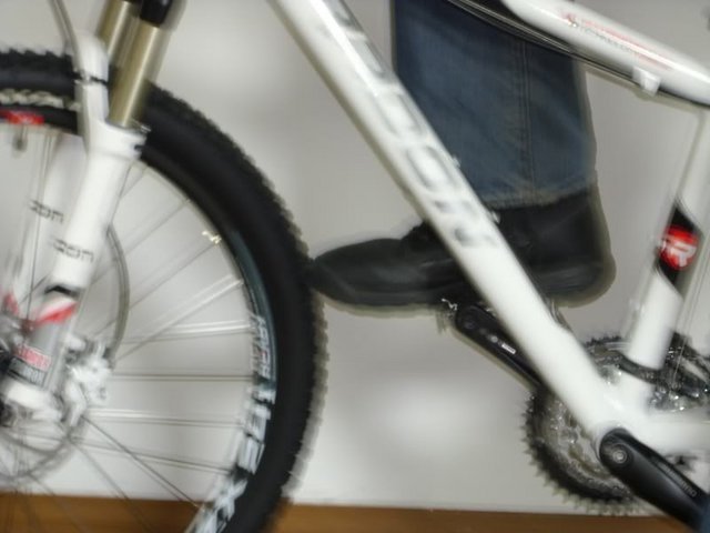 DSCI0362.jpg