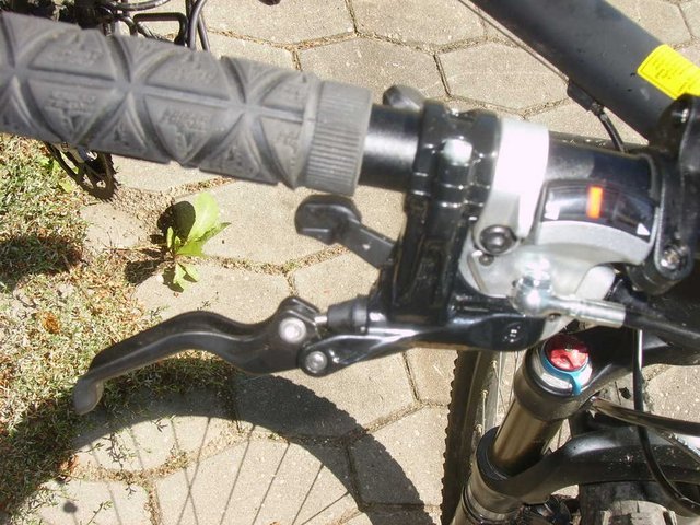 PICT1490.JPG
