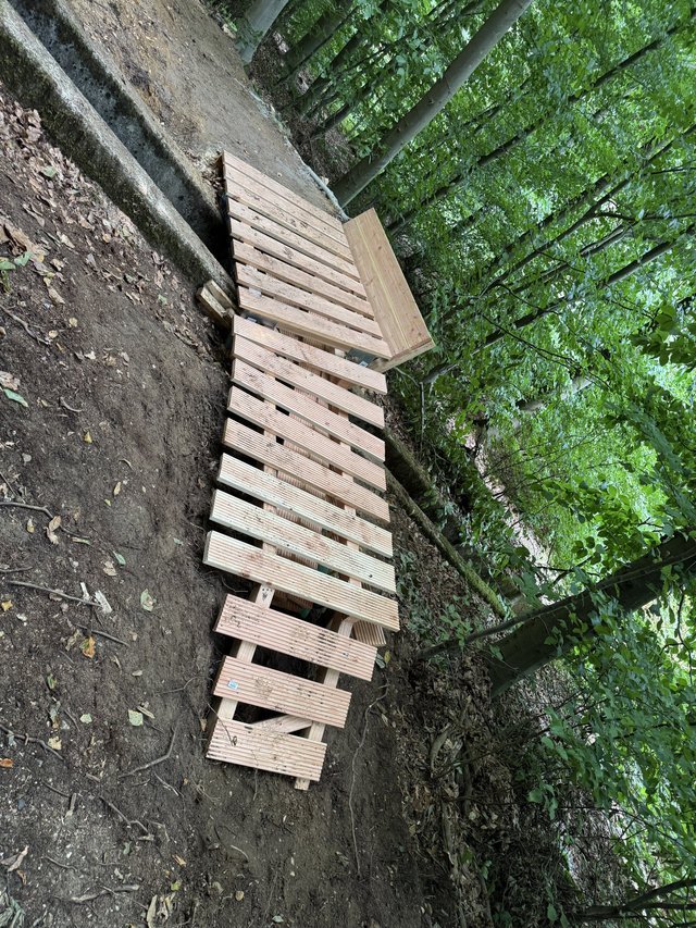 img_4010-jpeg.2200393