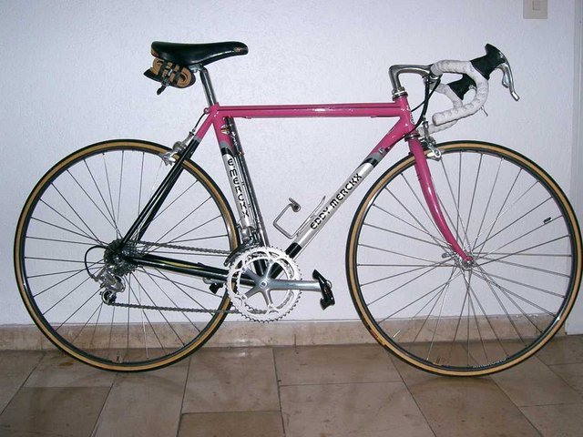 Eddy_Merckx_titan_001.jpg