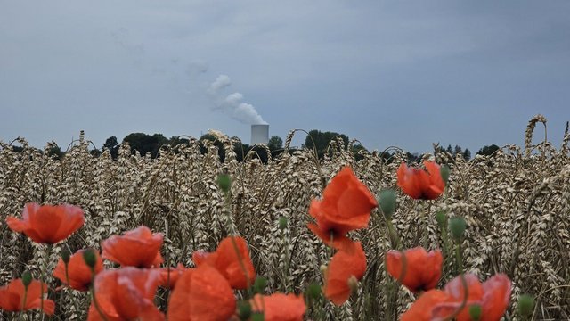 20230817_121041.jpg