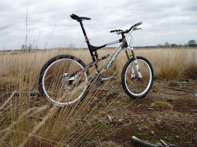 pbpic4327333.jpg