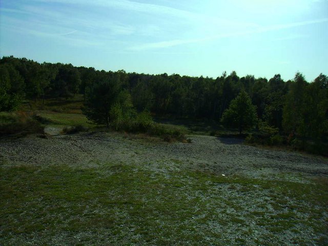 Heide1.JPG