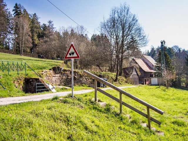 25181685ai.jpg