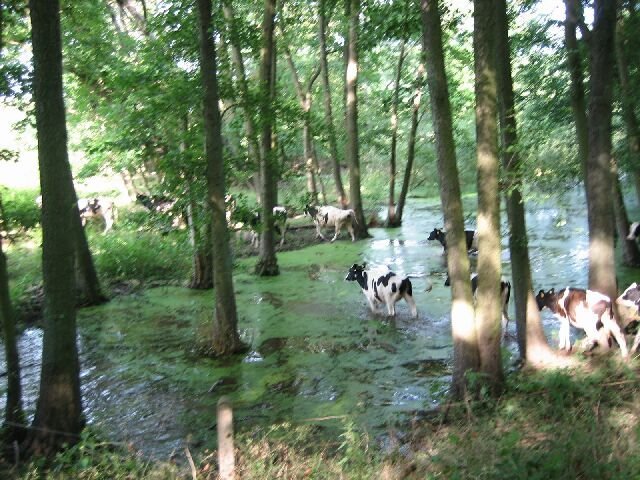 IMG_01153.jpg