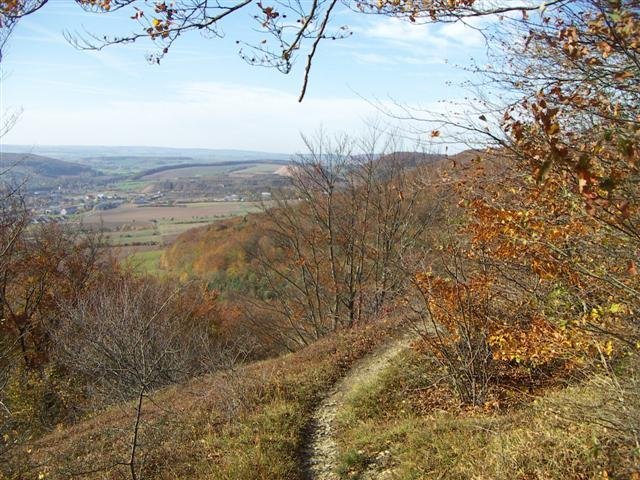 PICT0382_Small_.JPG
