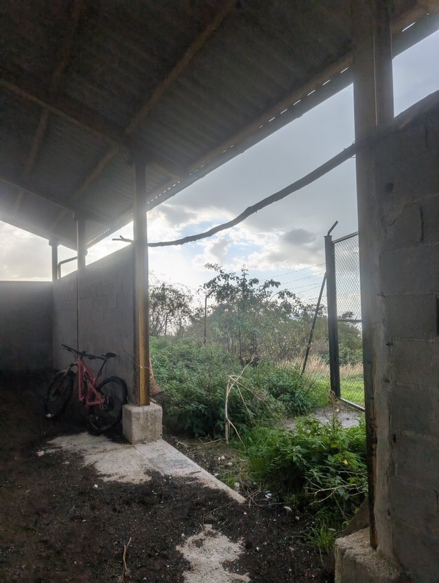 pxl_20250926_151610510-jpeg.2265780