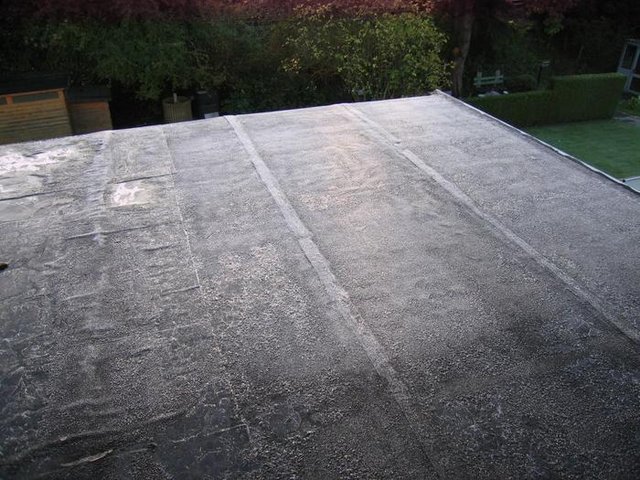 3046559.jpg