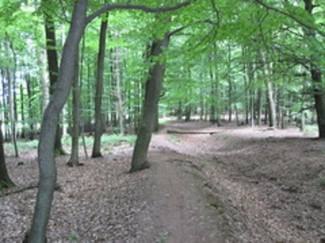 4716511841_b99942d010_m.jpg