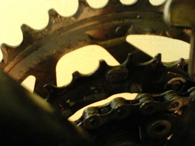 DSC007713.JPG