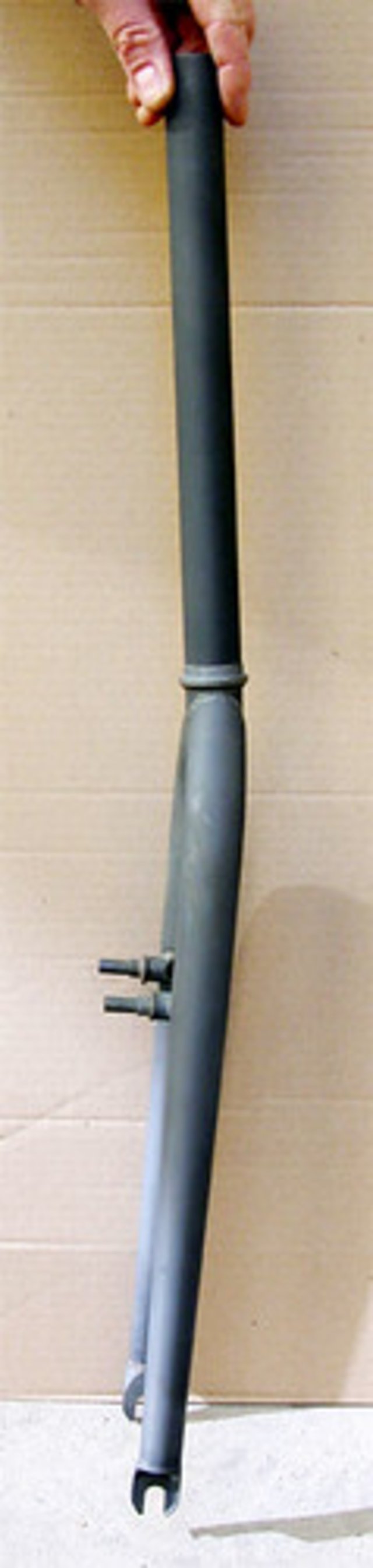 61875815_d711991499.jpg
