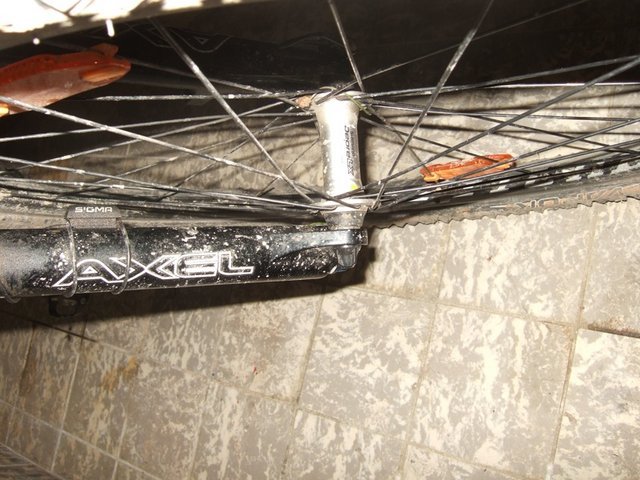 DSCF7439.JPG