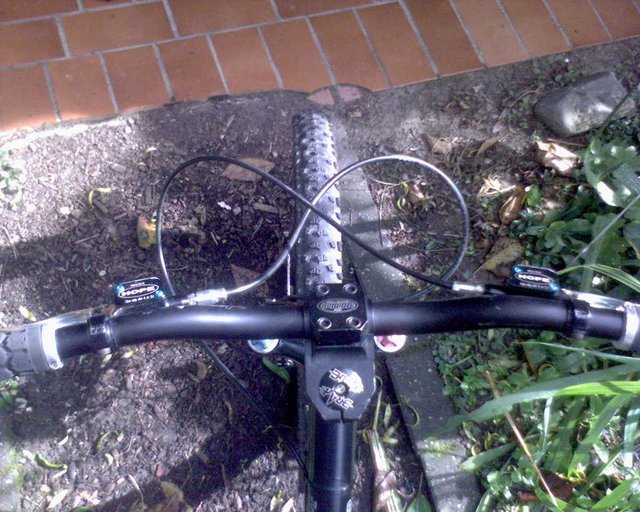 DSC00049.JPG