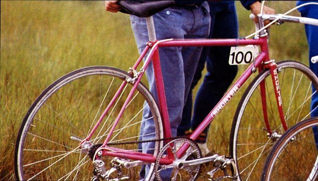 alf_rtm_pinkbike.jpg