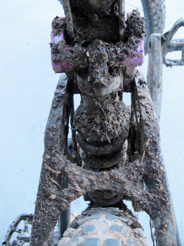 lifeline_muddyshock-600.jpg