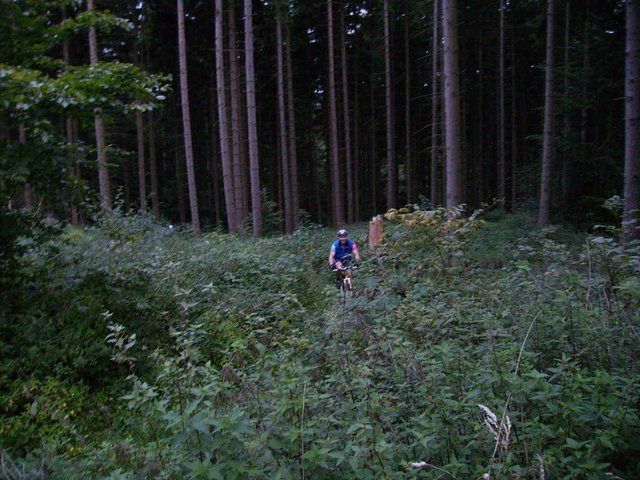 PICT00201.JPG