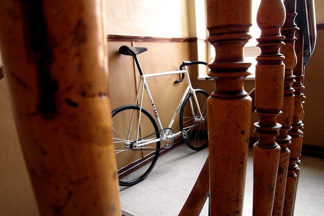 moser-pista-10517_1.jpg