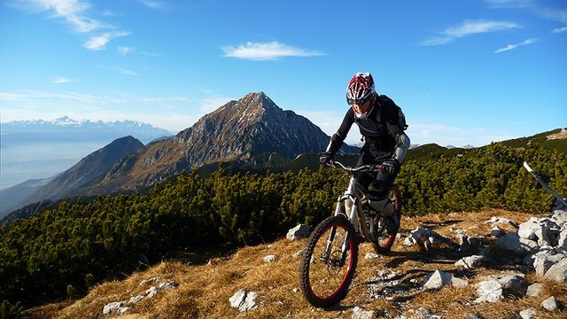 maca4.jpg