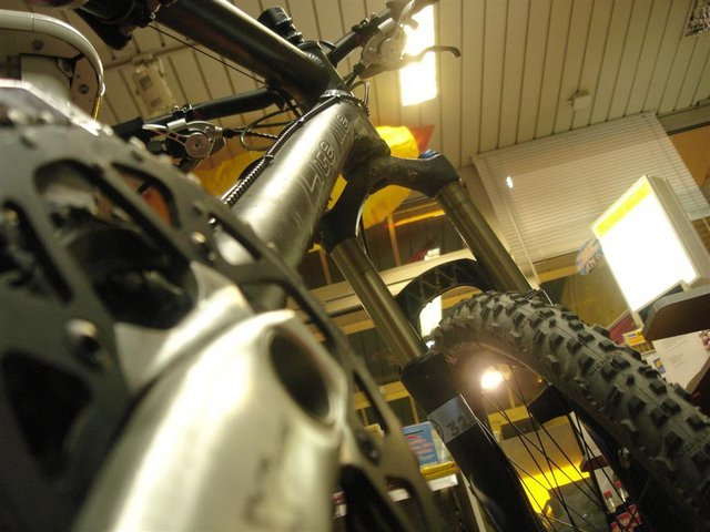 DSC00030_Large_.JPG