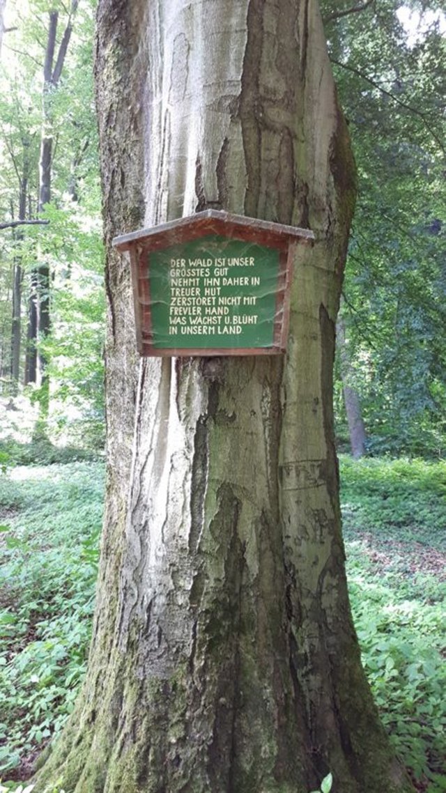 schild-jpg.611961