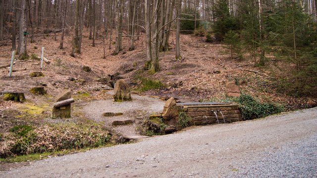 Bilder aus dem Odenwald Seite 73 MTBNews.de