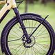 Pinion-E1-E-Bikes-NRD-048